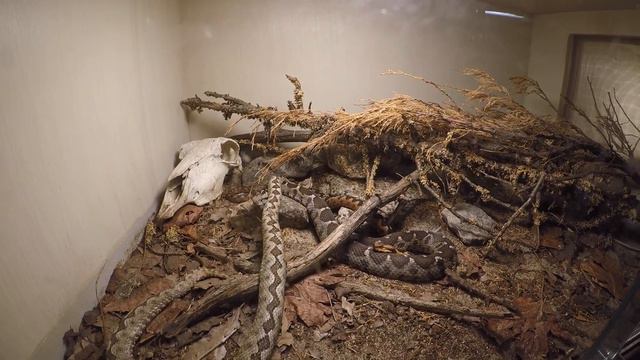 Эстония #4 Последний день в Пярну. Гуляем по Пярну , идем в мини зоо. смотреть онлайн