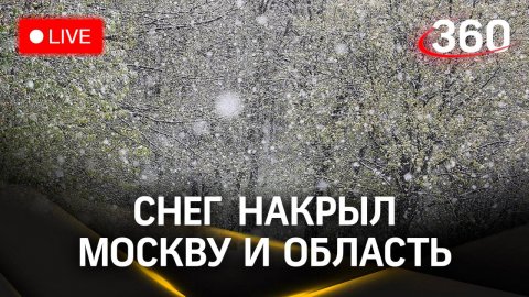 Снегопад с градом в Москве 8 мая | Прямая трансляция