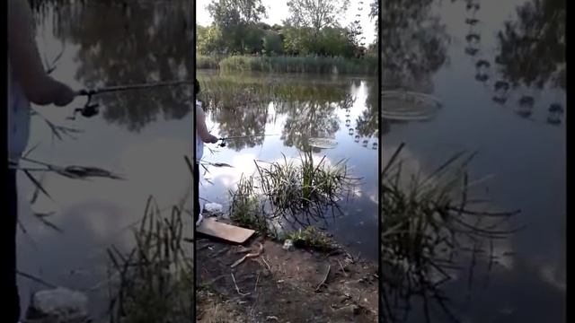 Рыбалка . горячий ключ