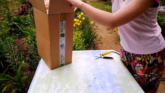 ОПТ-ХОЗ/ Эрика/ Вереск/ Голубика/ закрытая корневая смотреть онлайн