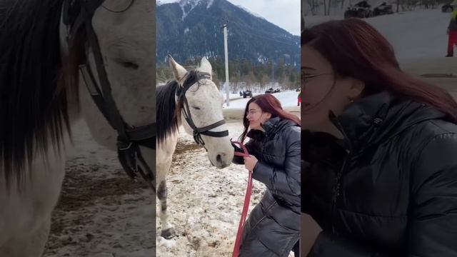 Самые дорогие лошади Life with horses Жизнь Отдых отпуск Жылкы #2023 #horse #лошади #асау #казахста