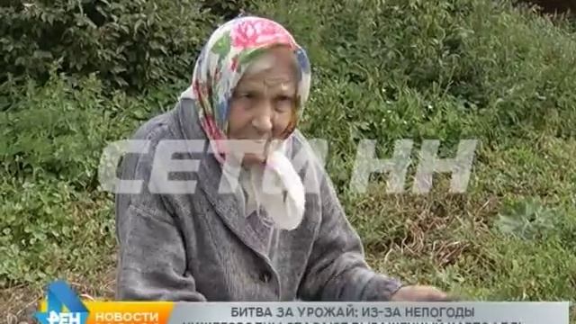 Урожай картошки поспел раньше срока смотреть онлайн