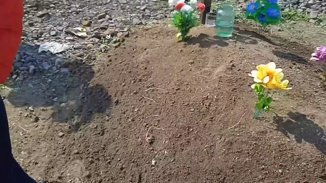 Уборка Перед Проводами смотреть онлайн