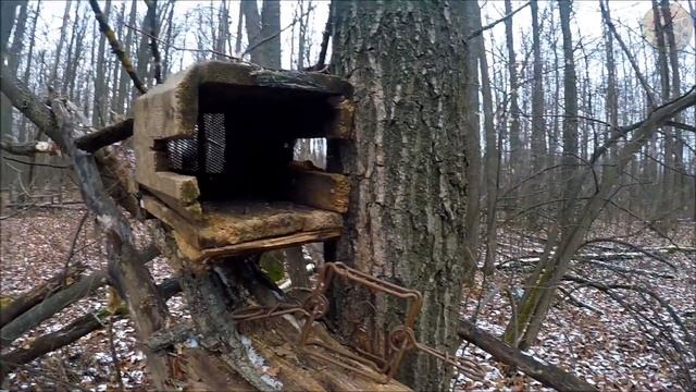 Охота на куницу. Медовая приманка (Будни охотника и рыбака) смотреть онлайн