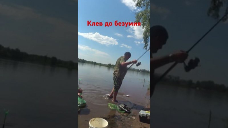 Бешаный клев леща