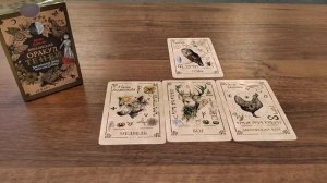 ТАРО РАСКЛАД ВАШИ ПРЕДКИ КОТОРЫЕ ЗАНИМАЛИСЬ МАГИЕЙ. КАК ОНИ ВАС ВИДЯТ. ИХ СОВЕТЫ ДЛЯ ВАС.mp4