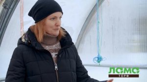 КАК ПРАВИЛЬНО выбрать грунт? ОСОБЕННОСТИ грунта для теплицы