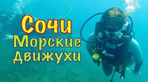 Сочи, Морские движухи. Сапборды, дайвиг, горнолыжный фестиваль на пляже