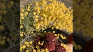 Фруктовое мороженое. Красота вкуса и цвета.