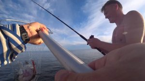 Рыбинка Рыбалка Судак Клевое место