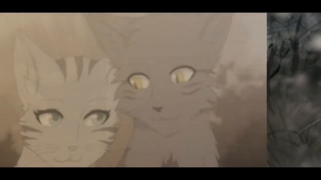 Коты воители.Крутобок и Серебрянка.