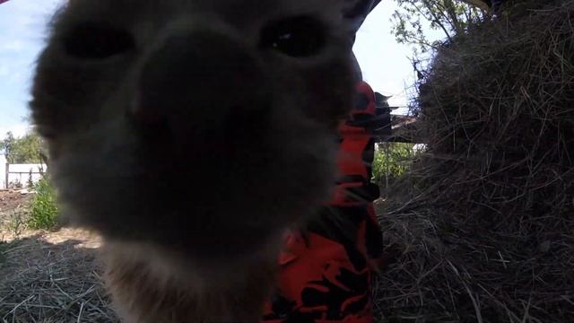 МОЯ САМАЯ КРУТАЯ ПОКУПКА В ЖИЗНИ | СКОЛЬКО ЭТО СТОИЛО смотреть онлайн