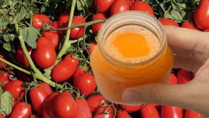 Пара капель под томаты, финальная подкормка чтобы увеличить урожай, завязи не опадают, не болеют