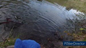 Ловля Форели на Сплит-шот. Fuelbecker Talsperre