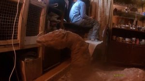 Пытаюсь сделать лошадь из доступных материалов.