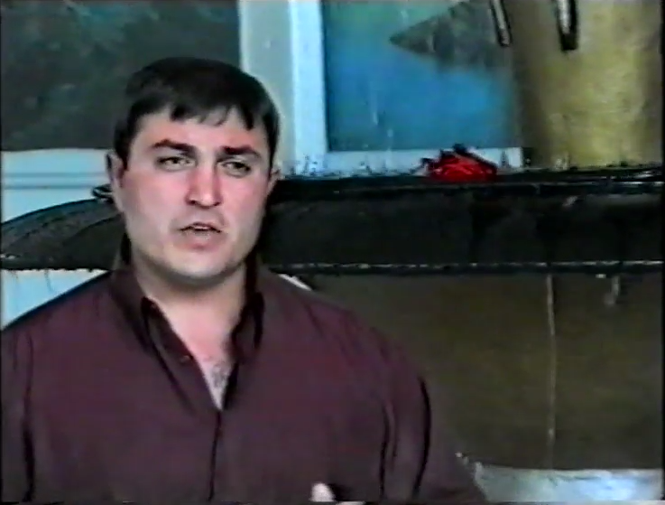 гр.Даркуш - Регина (2001) слова И.Исмаилова