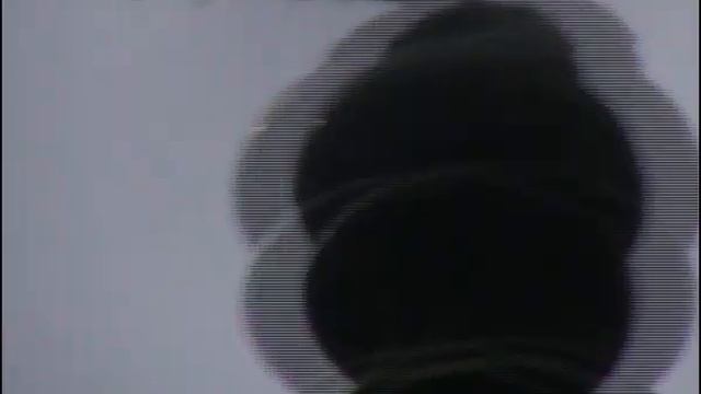 каприз природы воробей албинос