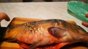 Что внутри у карпа