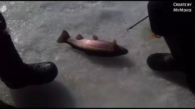 Рыбалка в Красногорске, Спортзона смотреть онлайн