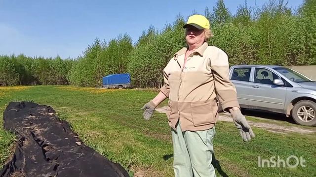 Как посадить очень просто кабачки (совет для ленивых.) смотреть онлайн