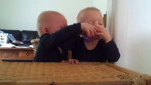 Twins fighting over a toothbrush