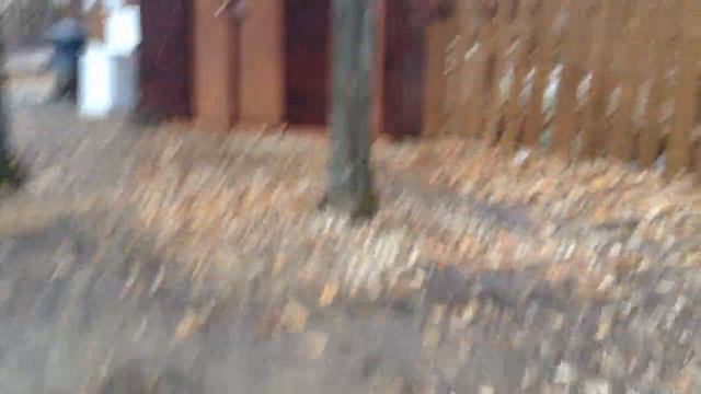 оопт_парк_прибрежный_отходы_в_лесу191119_1 смотреть онлайн