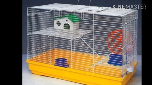 Почему хомяк гризьот прутья клетки?? смотреть онлайн