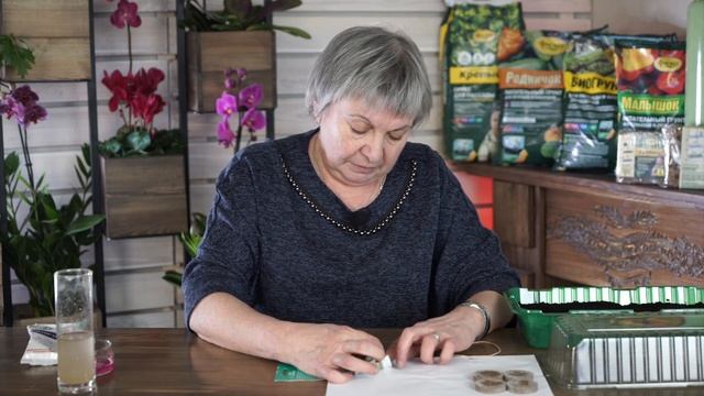 Ошибки которые убивают рассаду ТОМАТОВ ✖️ Почему не всходит рассада помидор ? смотреть онлайн