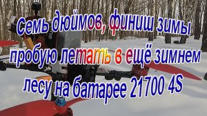 Семь дюймов, финиш зимы, пробую летать в ещё зимнем лесу на батарее 21700