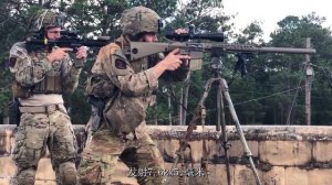 最“短命”的狙击枪——M110半自动狙击步枪