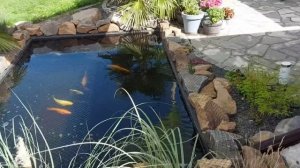 Как хочется ЖИТЬ  !!! ?