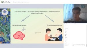 Физиология высшей нервной деятельности | Нормальная физиология