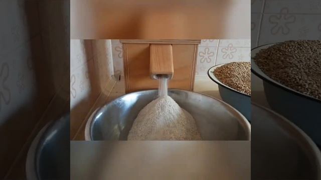 Как помолоть зерно в муку