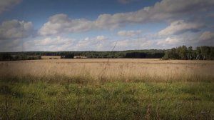 Марина Цветаева, Елена Фролова "Август". Романс.