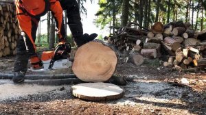 Stihl MS 462 C-M