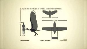 Древние хищники земли!! Доисторические хищники! Много миллионов лет назад. ?