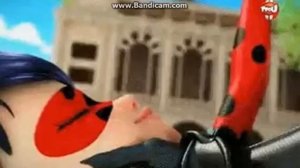 я знаю где живёт любовь -леди кот