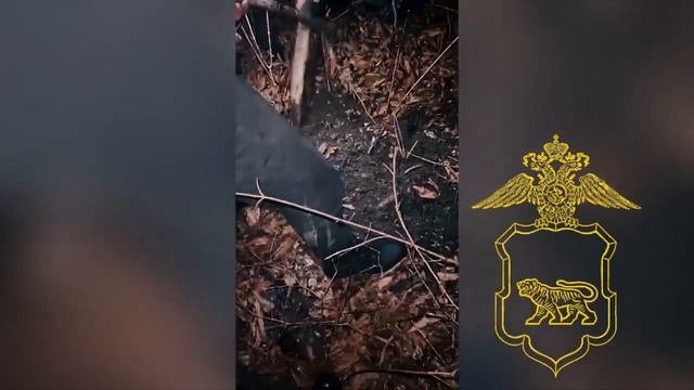 Полиция Владивостока предотвратила распространение в городе порядка тысячи разовых доз «синтетики»