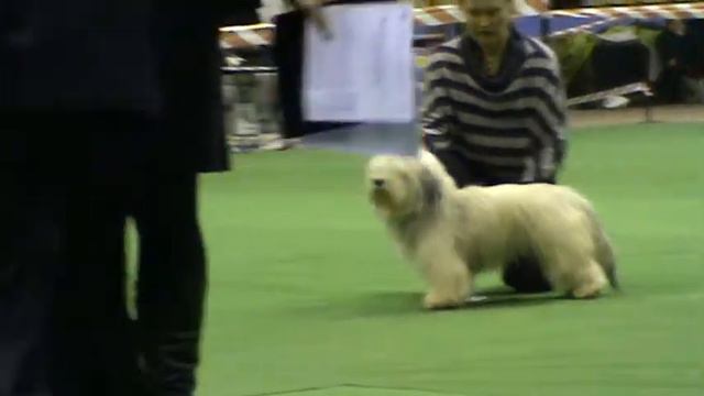 ОДИСы в ринге.Молдова 16.02.13 смотреть онлайн