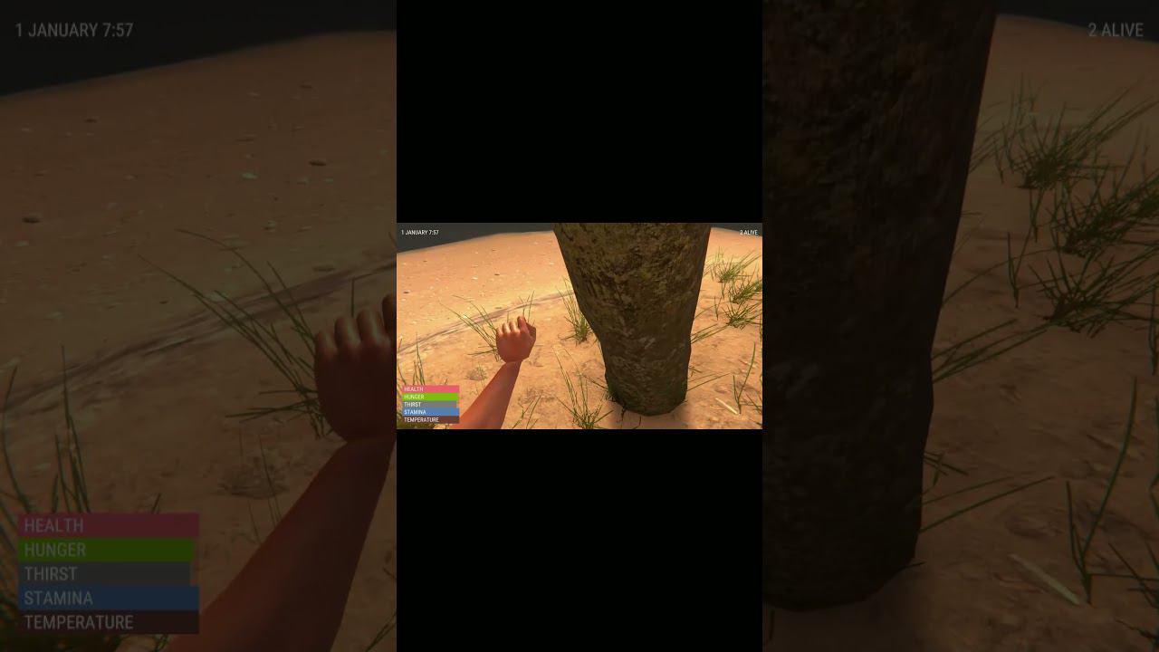 ЛЮБИТЕЛЬ СРЕДНЕГО ПАЛЬЦА #handsimulatorsurvival смотреть онлайн