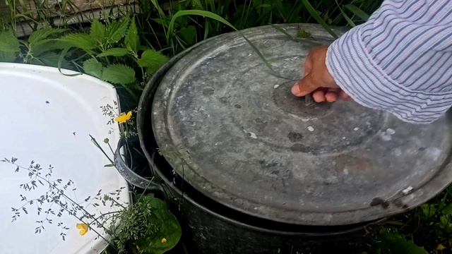 Натуральное удобрение Болтушка - всё по честному 😉