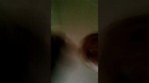 Как вызвать волшебного гнома??