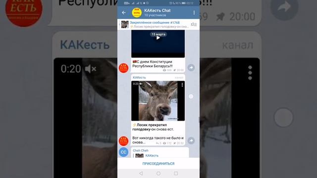 Как правильно скопировать ссылку!