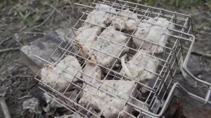ОТДЫХАЕМ ШАШЛЫК ОСТАНКИНО ГАЗИРОВКА НА ПЕРЦЕ ГРИБЫ НА УГЛЯХ(СЛИВ ПРИВАТ ВИДЕО ФИЛИСОФ ИЗ ТРУЩОБ
