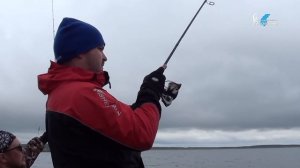 Рыбалка на Кольском полуострове. Ловля кумжи. Суэльявр  Часть 3