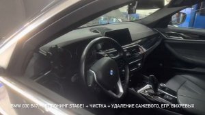 BMW G30 чип тюнинг stage1 + отключение экологии / Chip Tuning stage1 + DPF EGR Flap off BMW G30