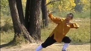 Шаолиньский Цигун Методическое Пособие