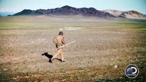 ED STAFFORD: FIRST MAN OUT (USA) - BEST SURVIVAL SHOW