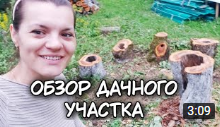 Обзор дачного участка. Срубили много деревьев.