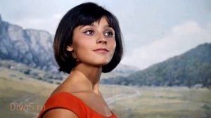 Жизнь и Фото Натальи Варлей